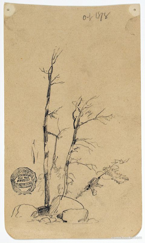 Trees and Boulders near Millinocket, Maine