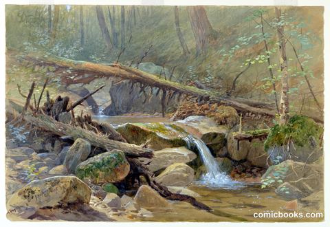 Pool in the Woods