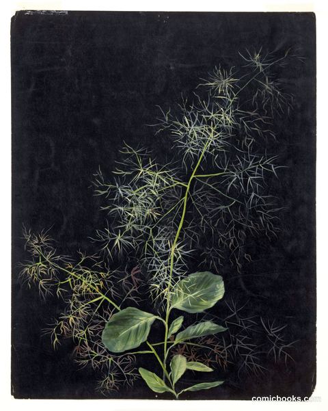 Study of Plant, Possibly Tufted Hairgrass