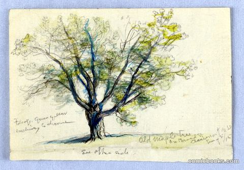 Sketch, Maple Tree