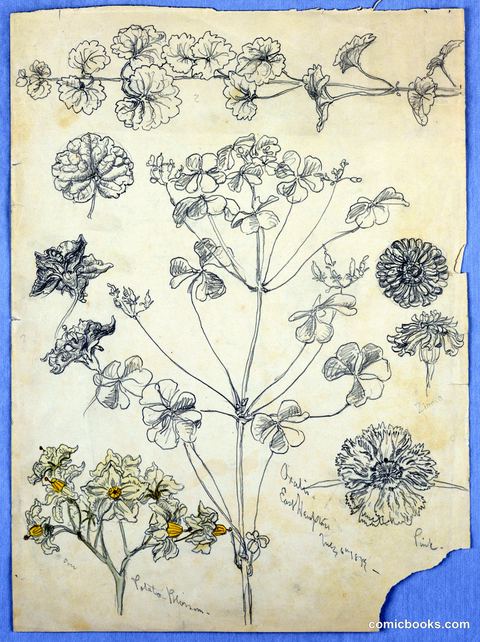 Botanical Study: Flowers and Plant Specimens