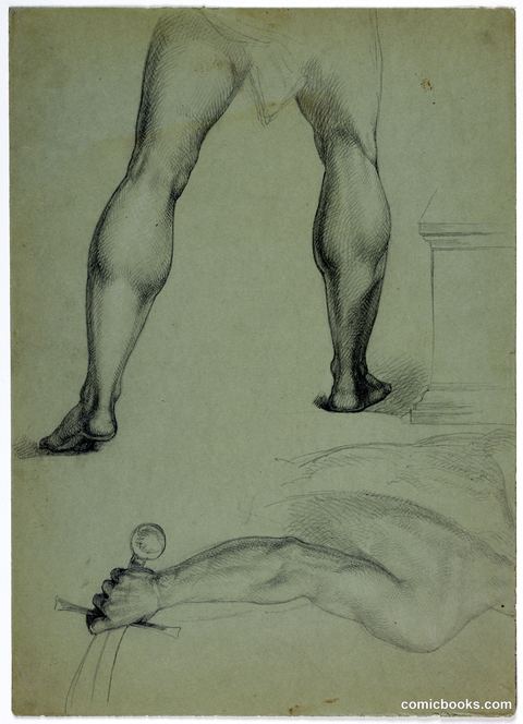 Anatomical Studies