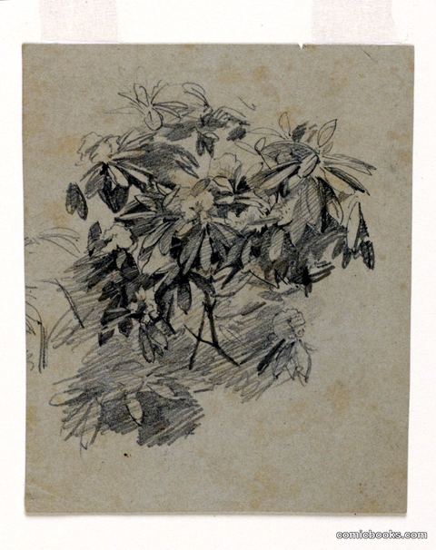 Study of Foliage