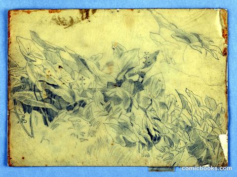 Study of Foliage