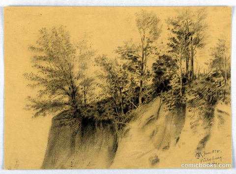 Cliff and Trees, Vicksburg, Miss.