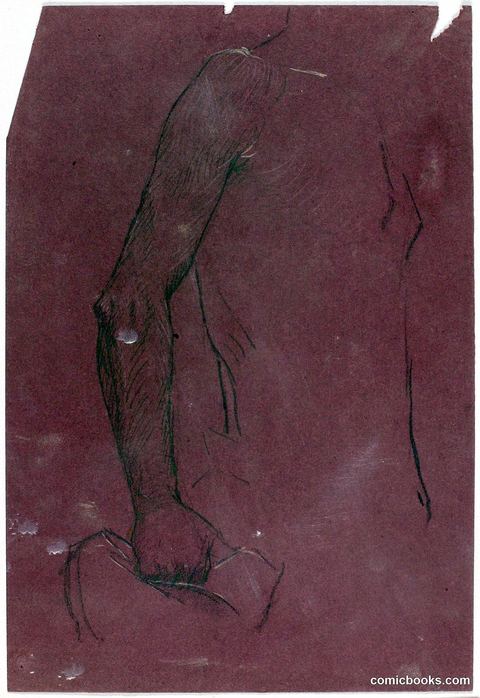 Torso, Study for Equestrian Monument