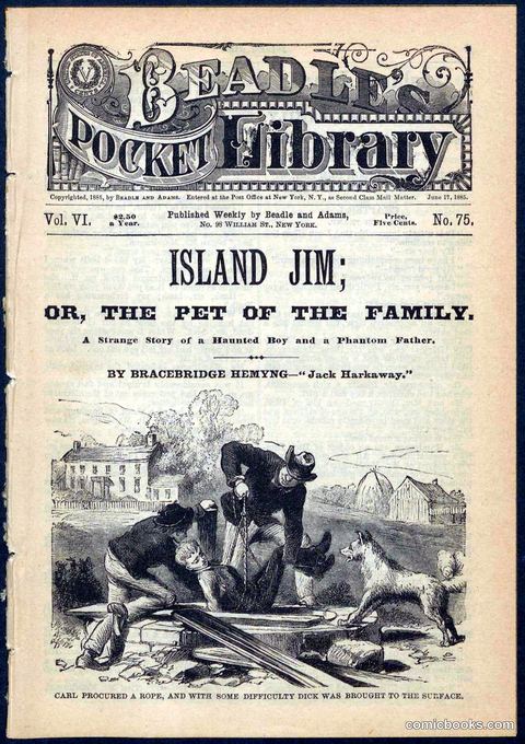 Island Jim; or, The Pet of the Family