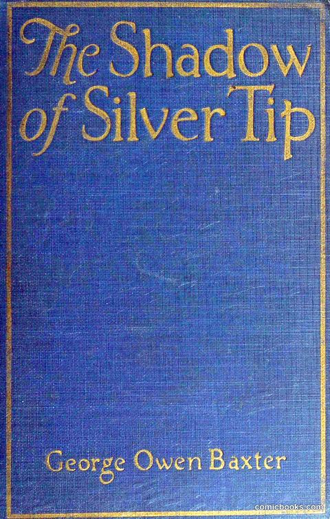 The Shadow of Silver Tip