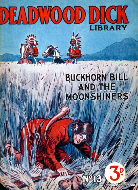 Deadwood Dick Library No. 13