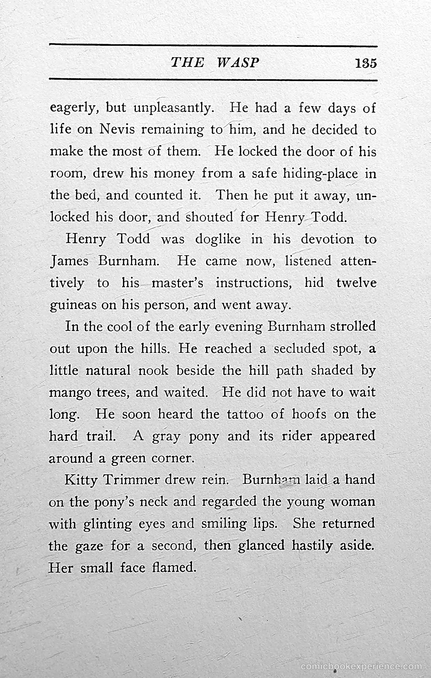The Wasp — 1913 — page 138 of 364