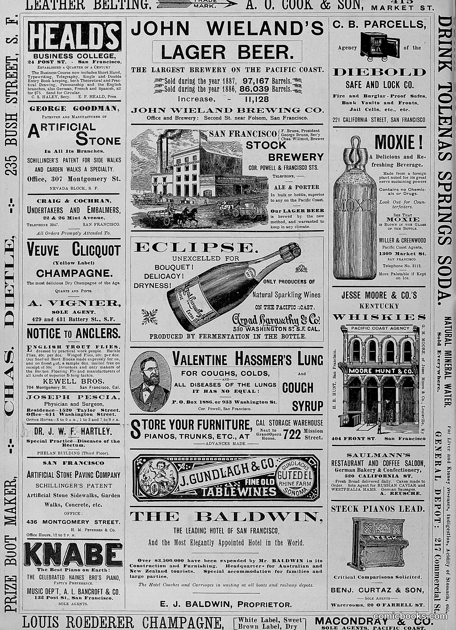 The Wasp — 1888 — page 311 of 526