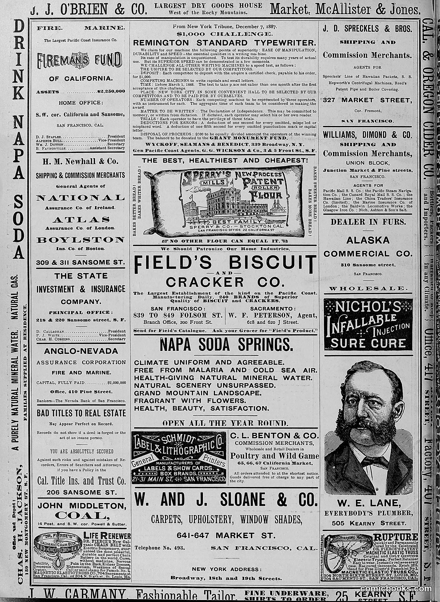 The Wasp — 1888 — page 503 of 526