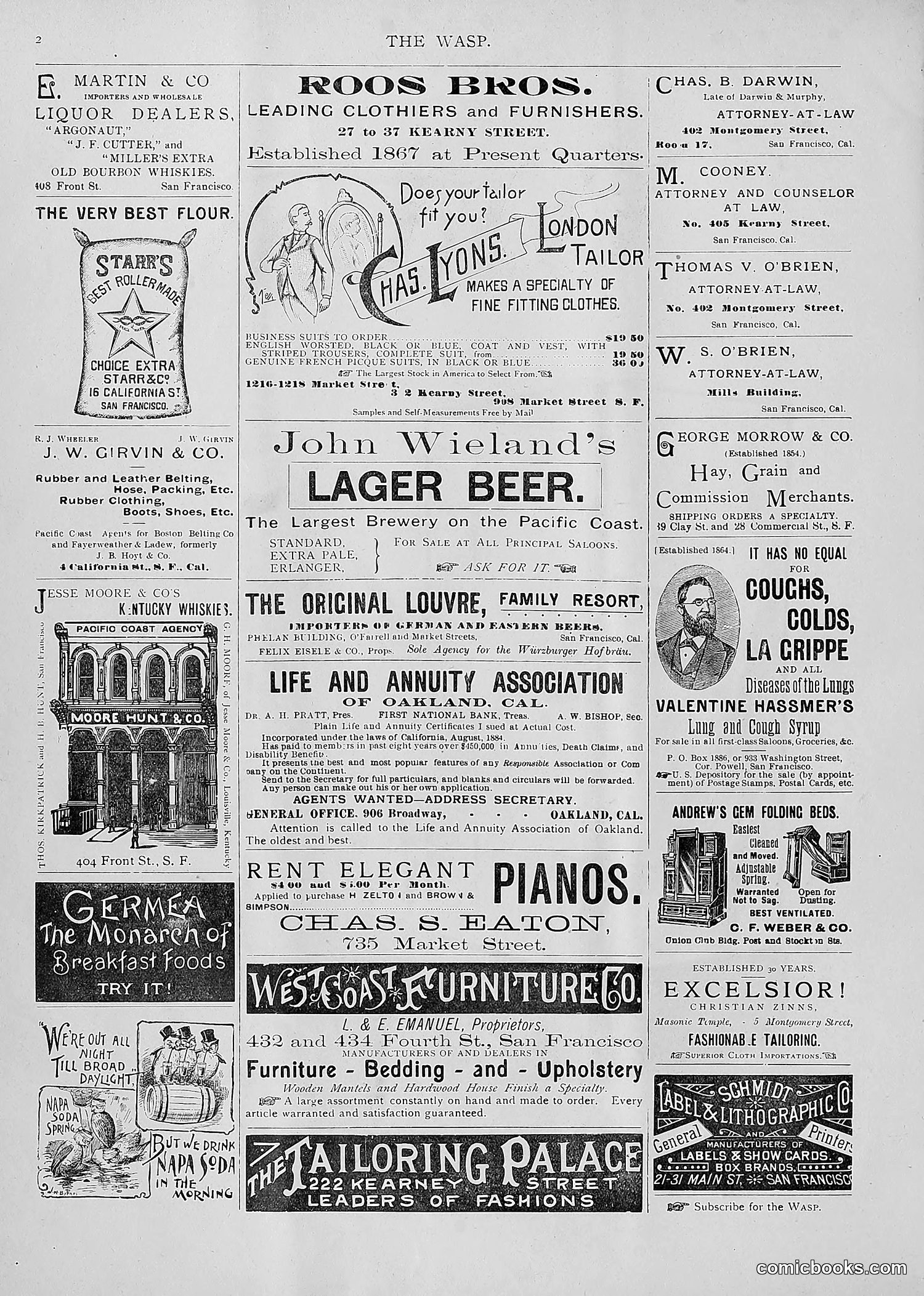 The Wasp — 1893 — page 131 of 514