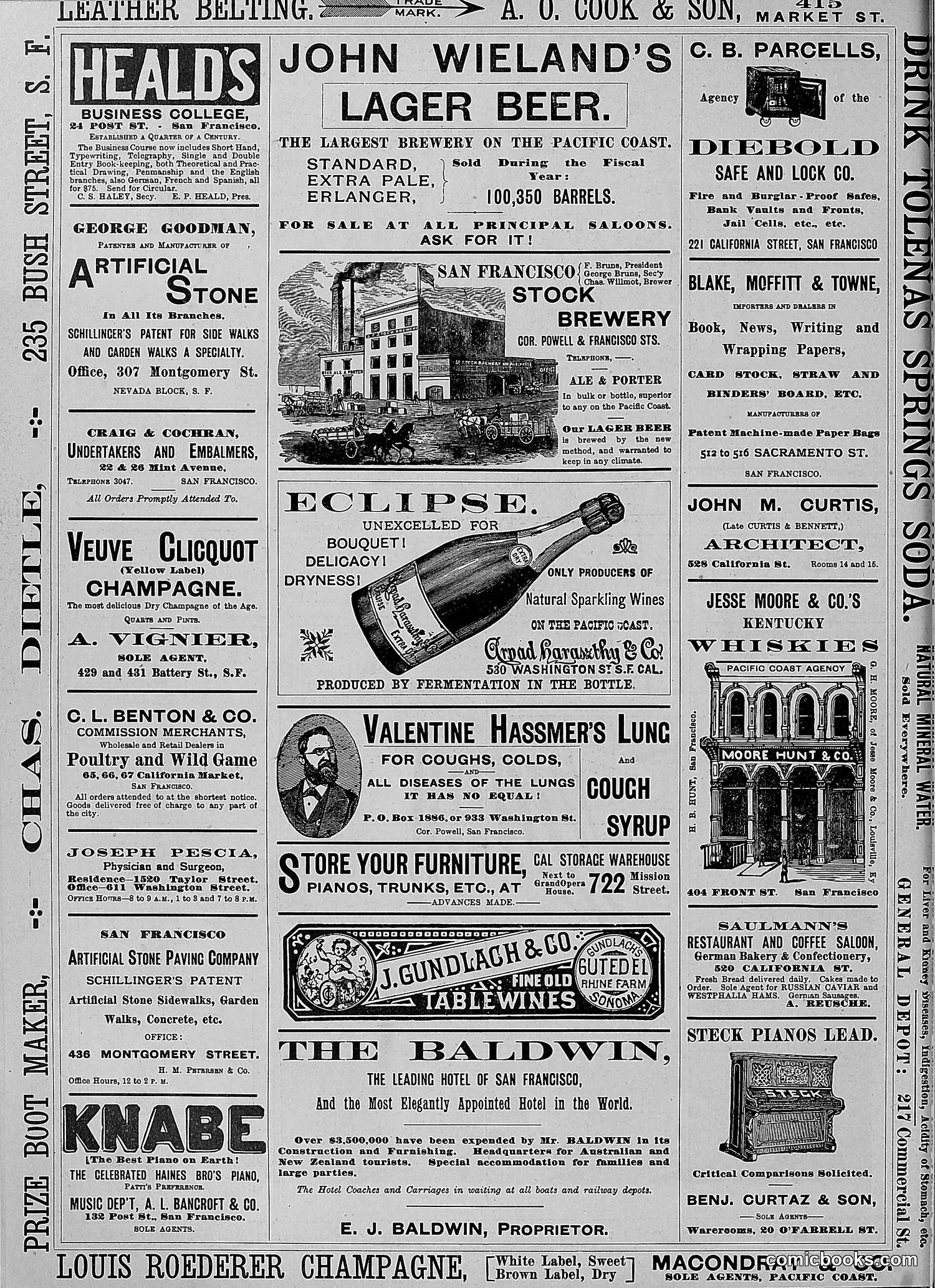 The Wasp — 1888 — page 449 of 552
