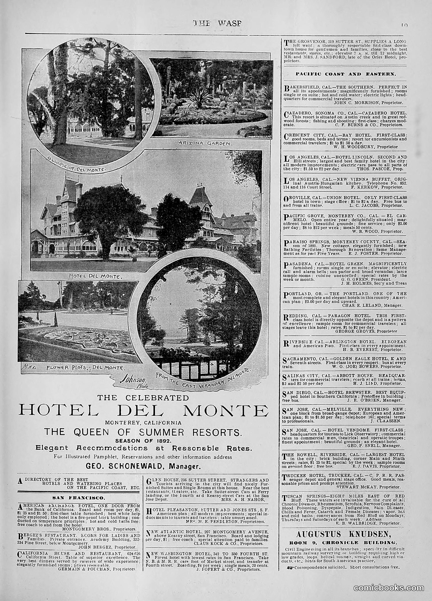 The Wasp — 1892 — page 324 of 590