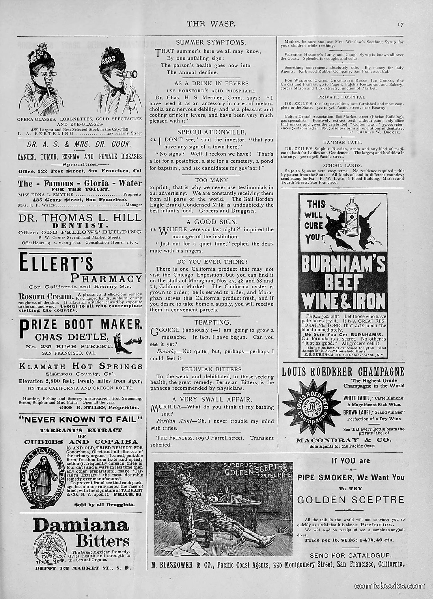 The Wasp — 1893 — page 28 of 578