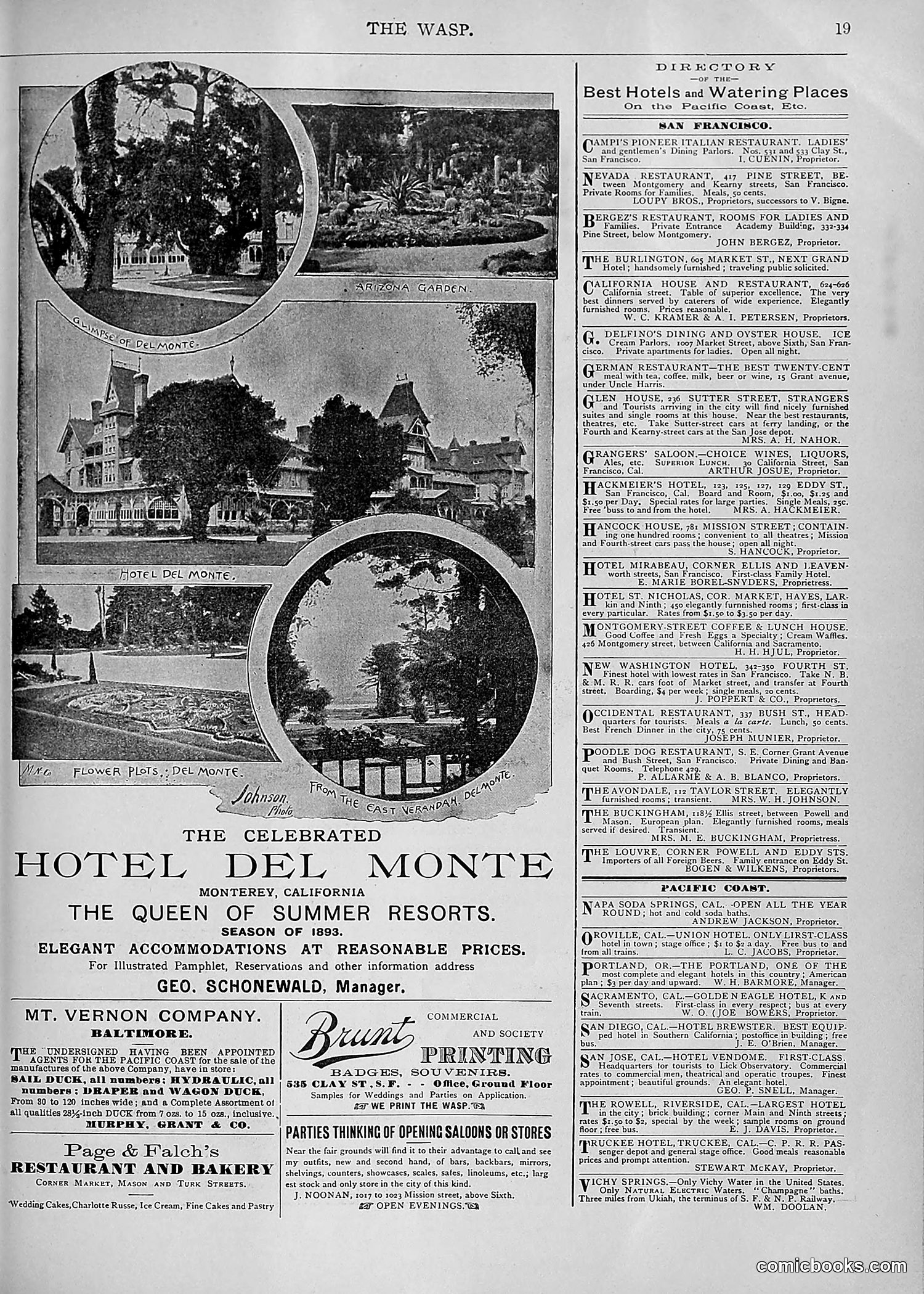 The Wasp — 1893 — page 360 of 578