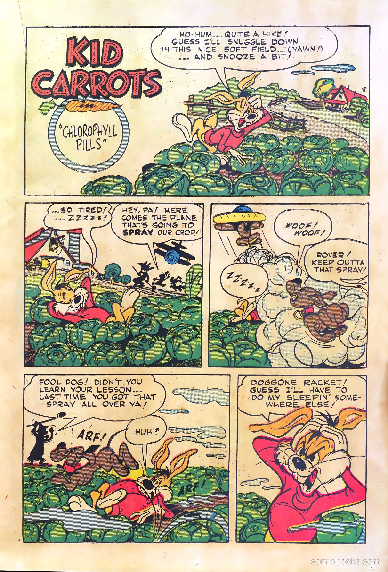Kid Carrots #1 — page 15 of 36