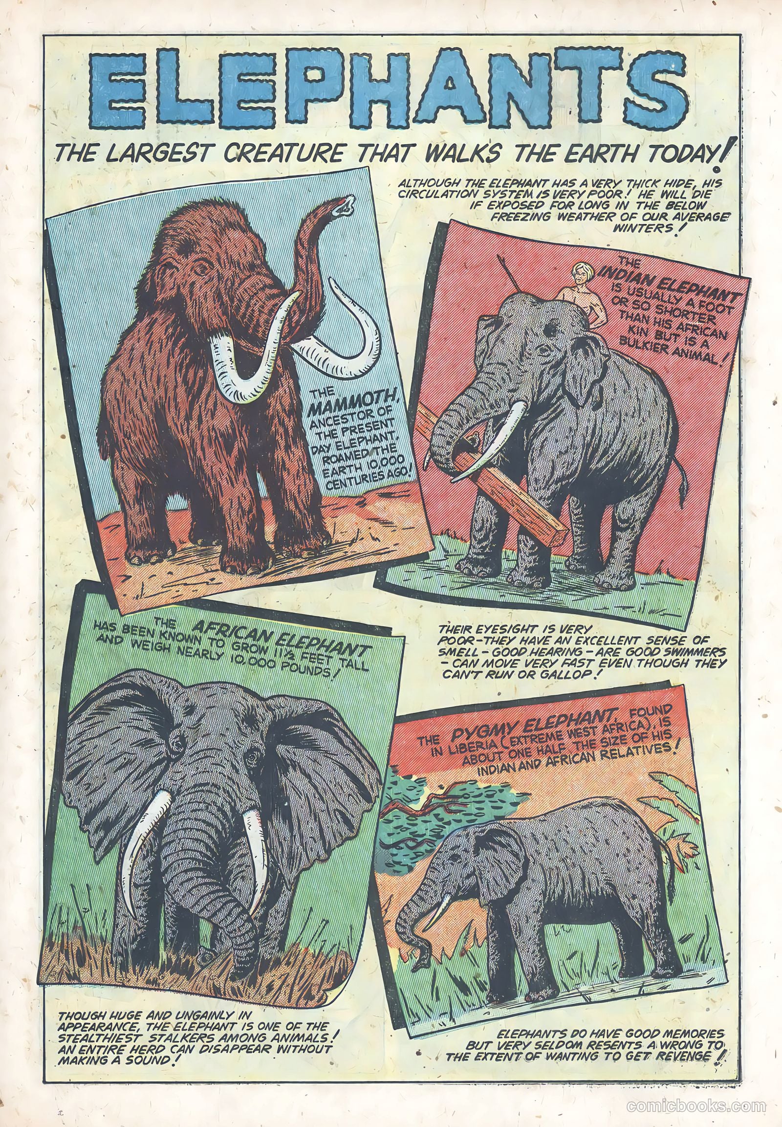Kit Carson #2 — page 19 of 36