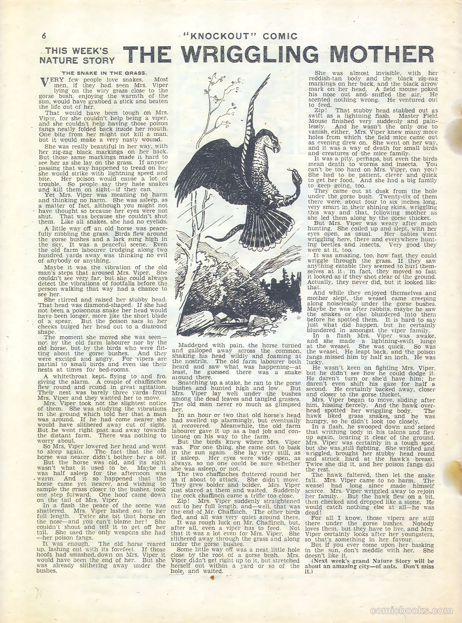 Knockout #325 — page 6 of 16