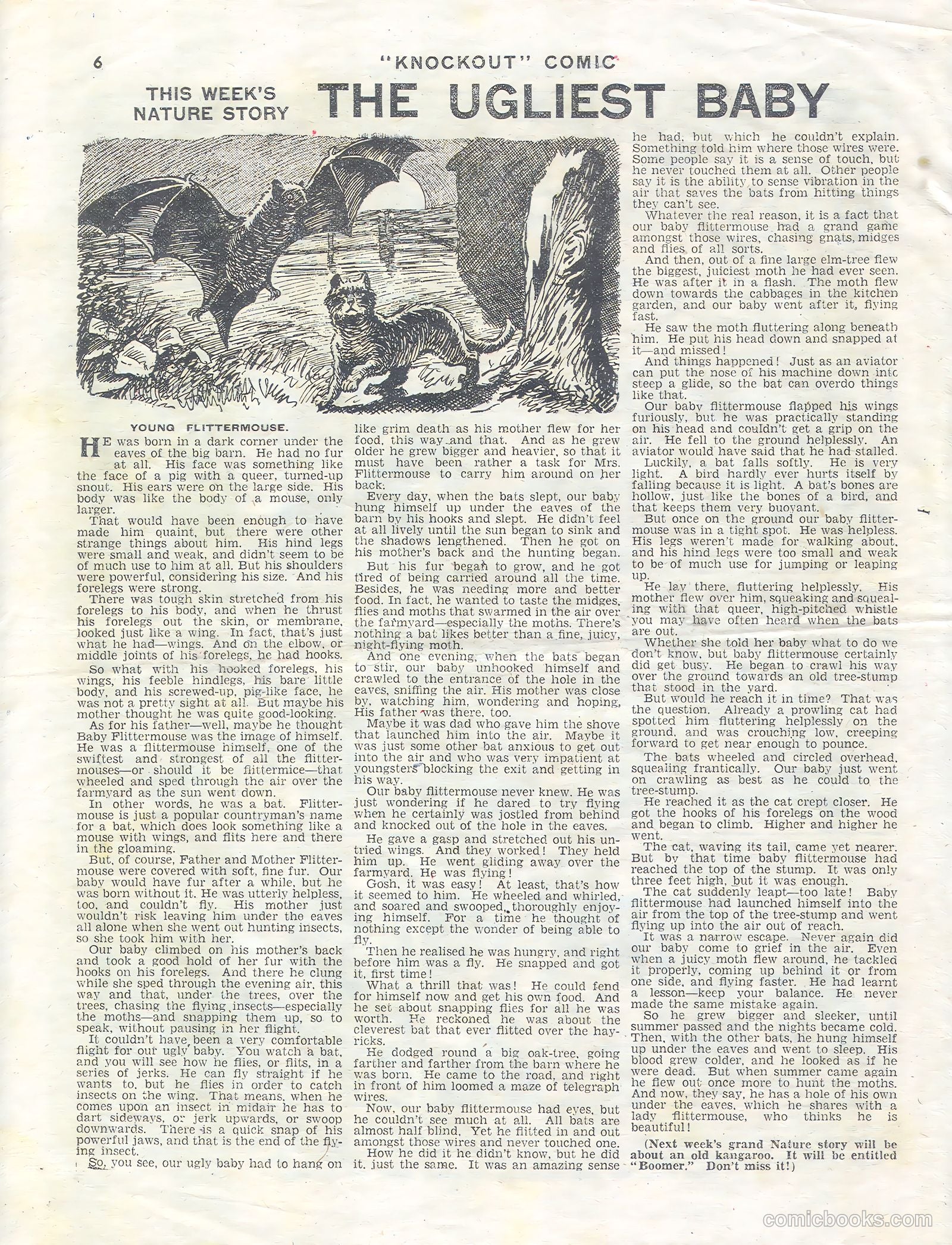 Knockout #332 — page 6 of 12