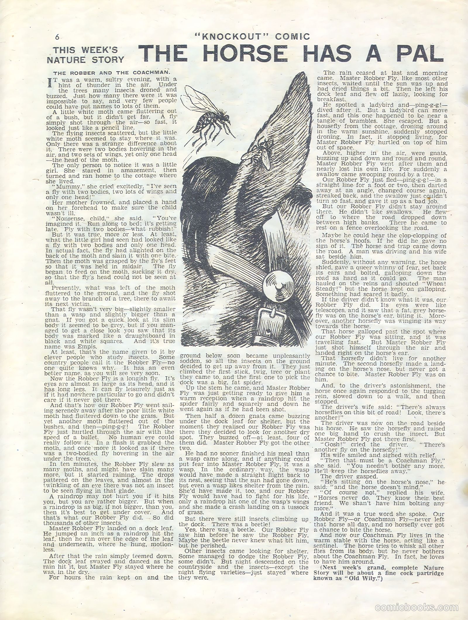 Knockout #339 — page 6 of 16