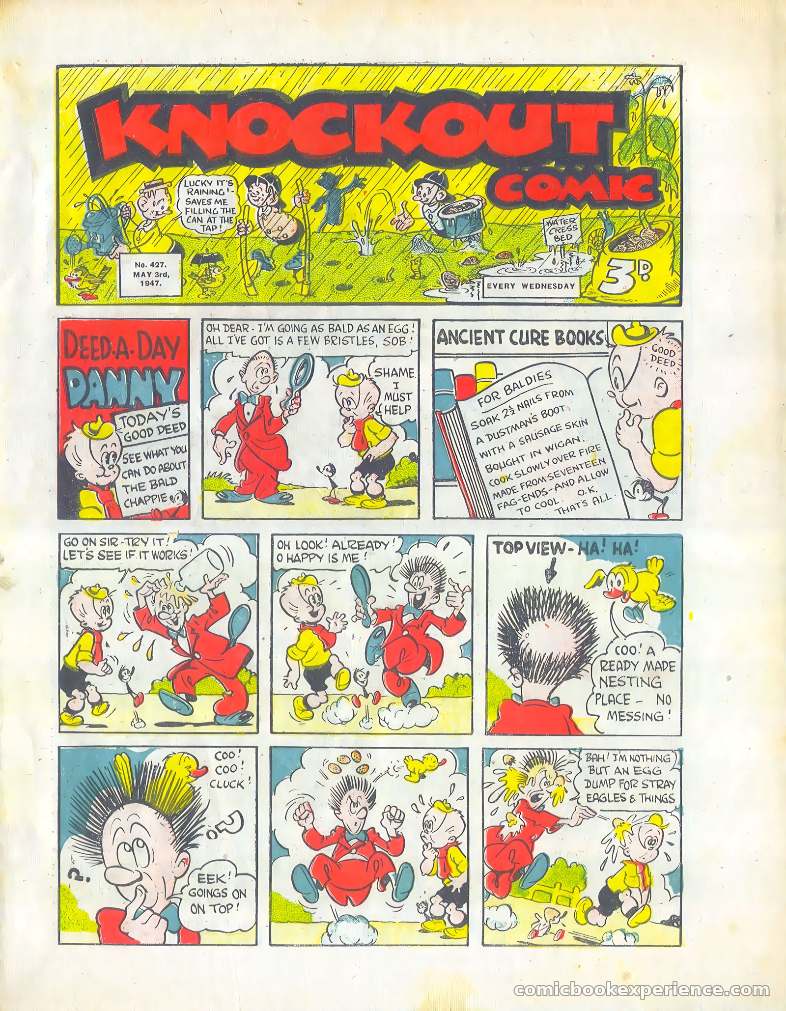 Knockout #427 — page 1 of 12