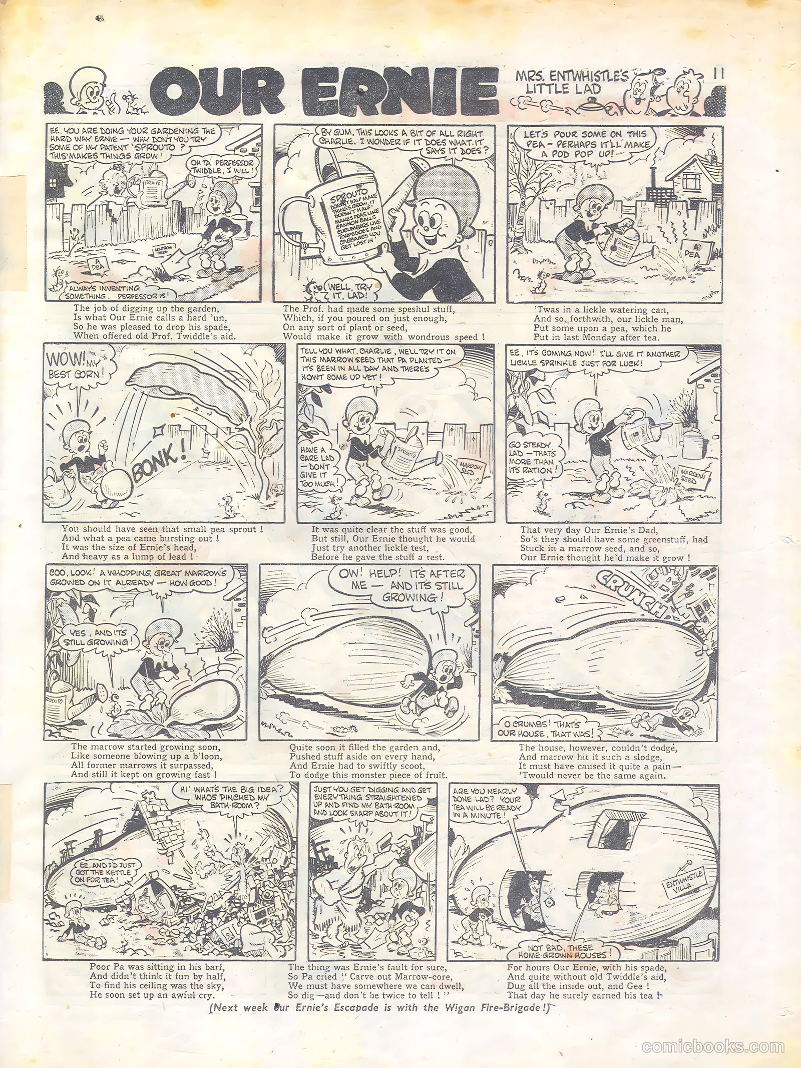 Knockout #427 — page 11 of 12