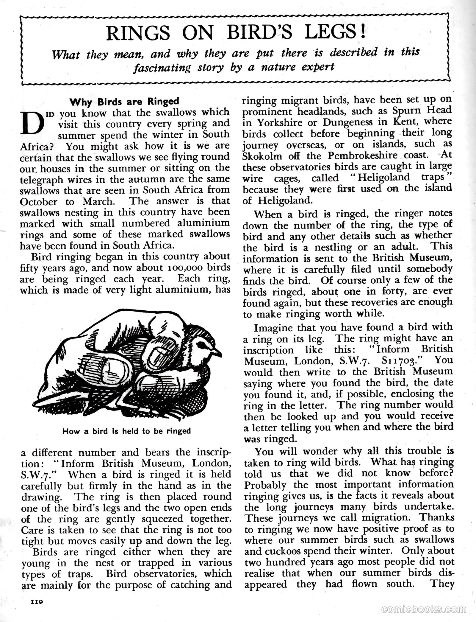 Knockout Annual #1957 — page 113 of 198