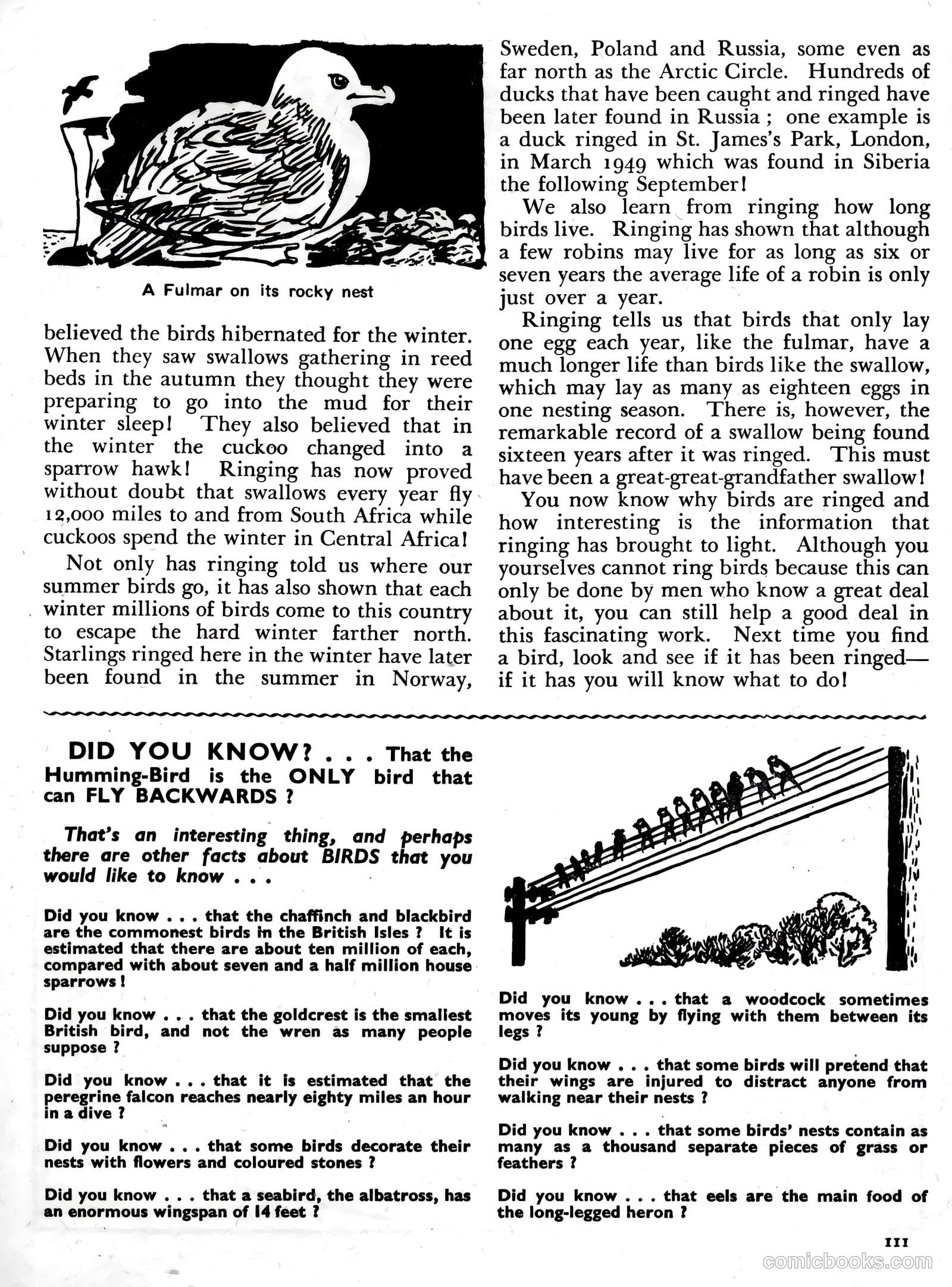 Knockout Annual #1957 — page 114 of 198