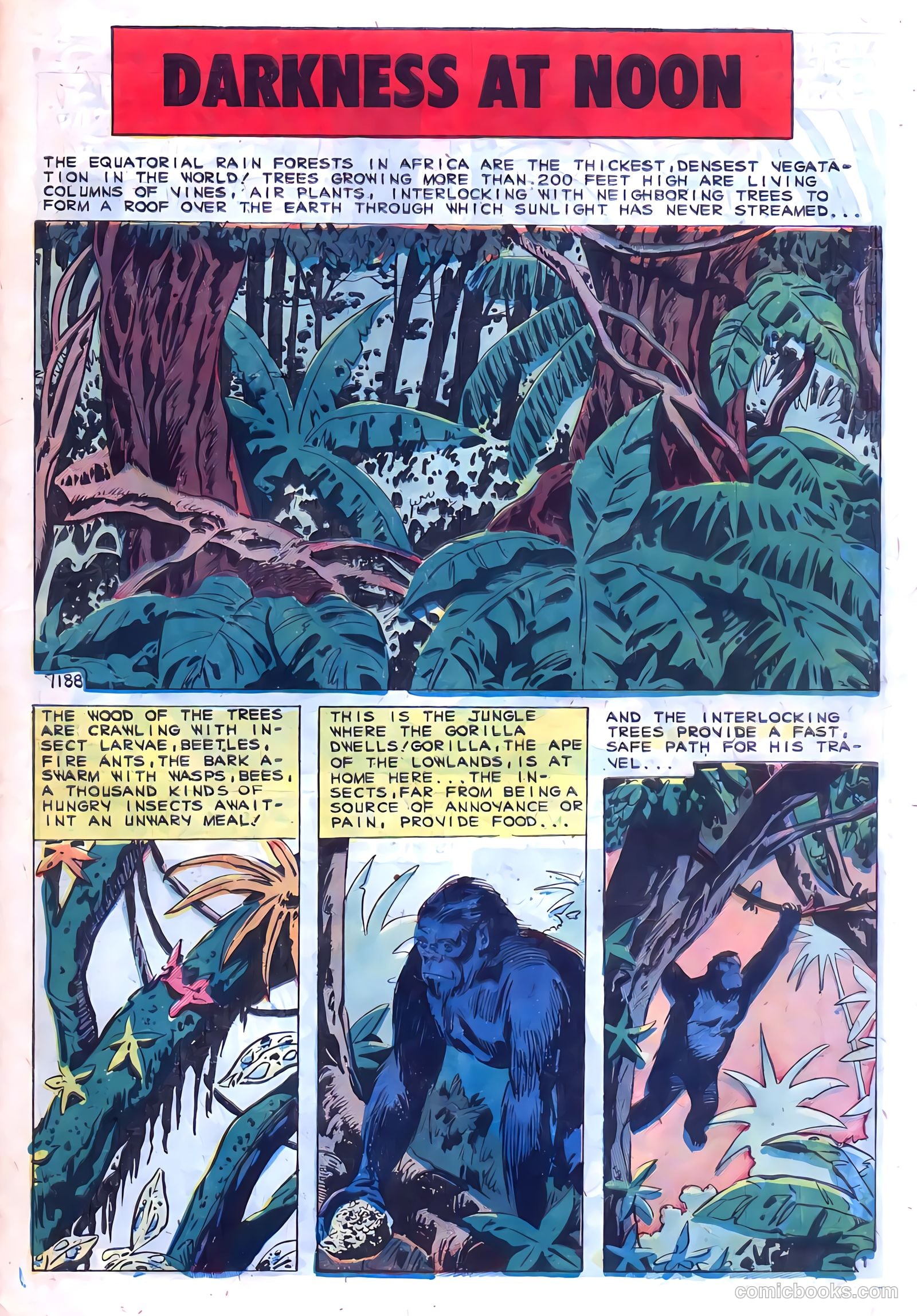 Konga #1 — page 27 of 36