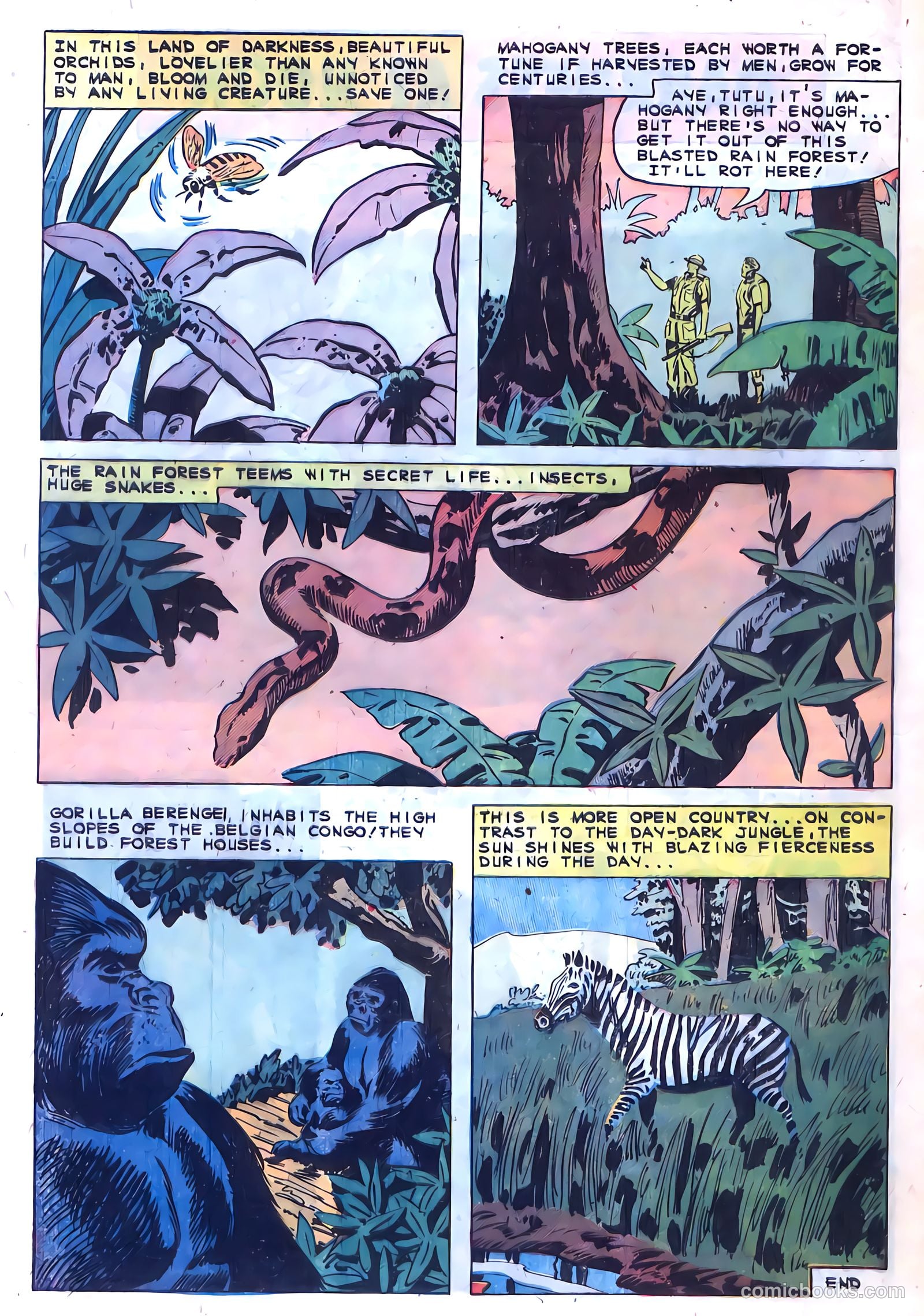 Konga #1 — page 28 of 36