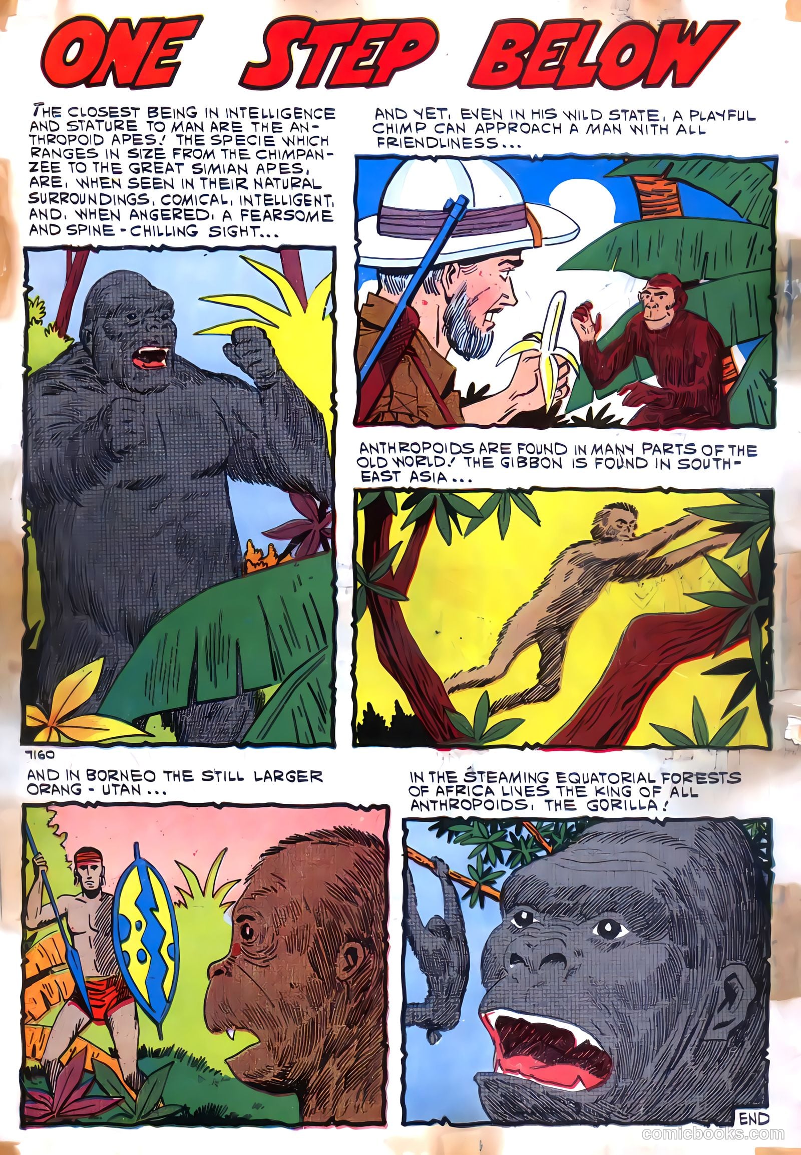 Konga #1 — page 36 of 36