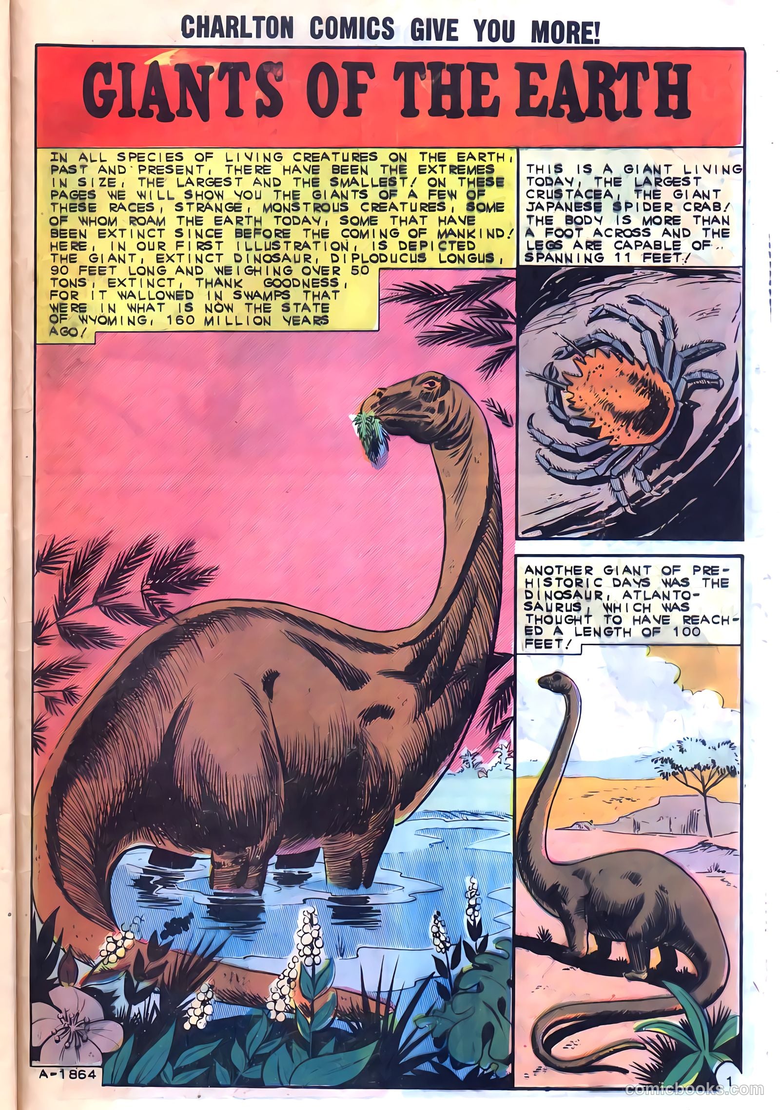 Konga #10 — page 29 of 36