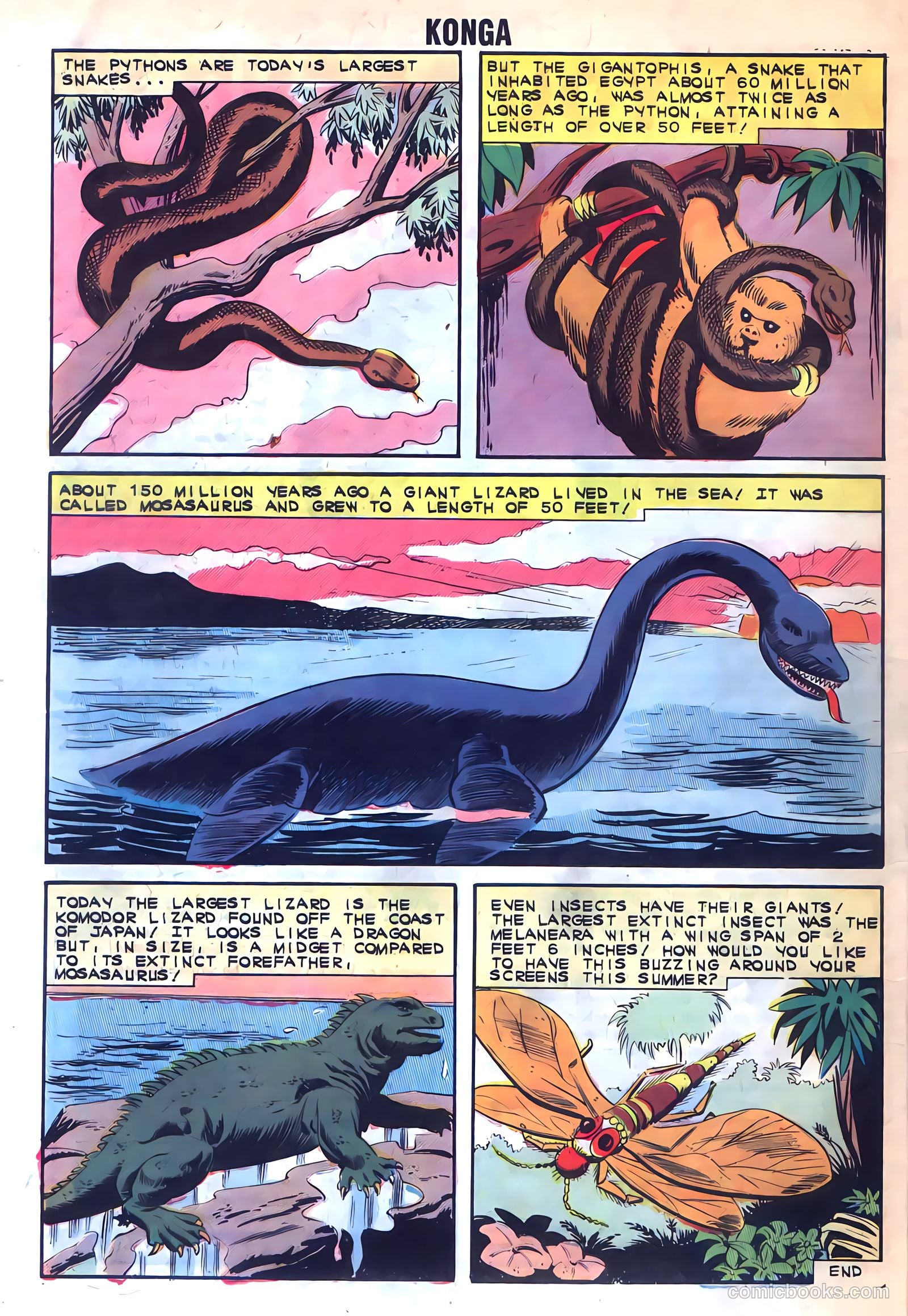 Konga #10 — page 32 of 36