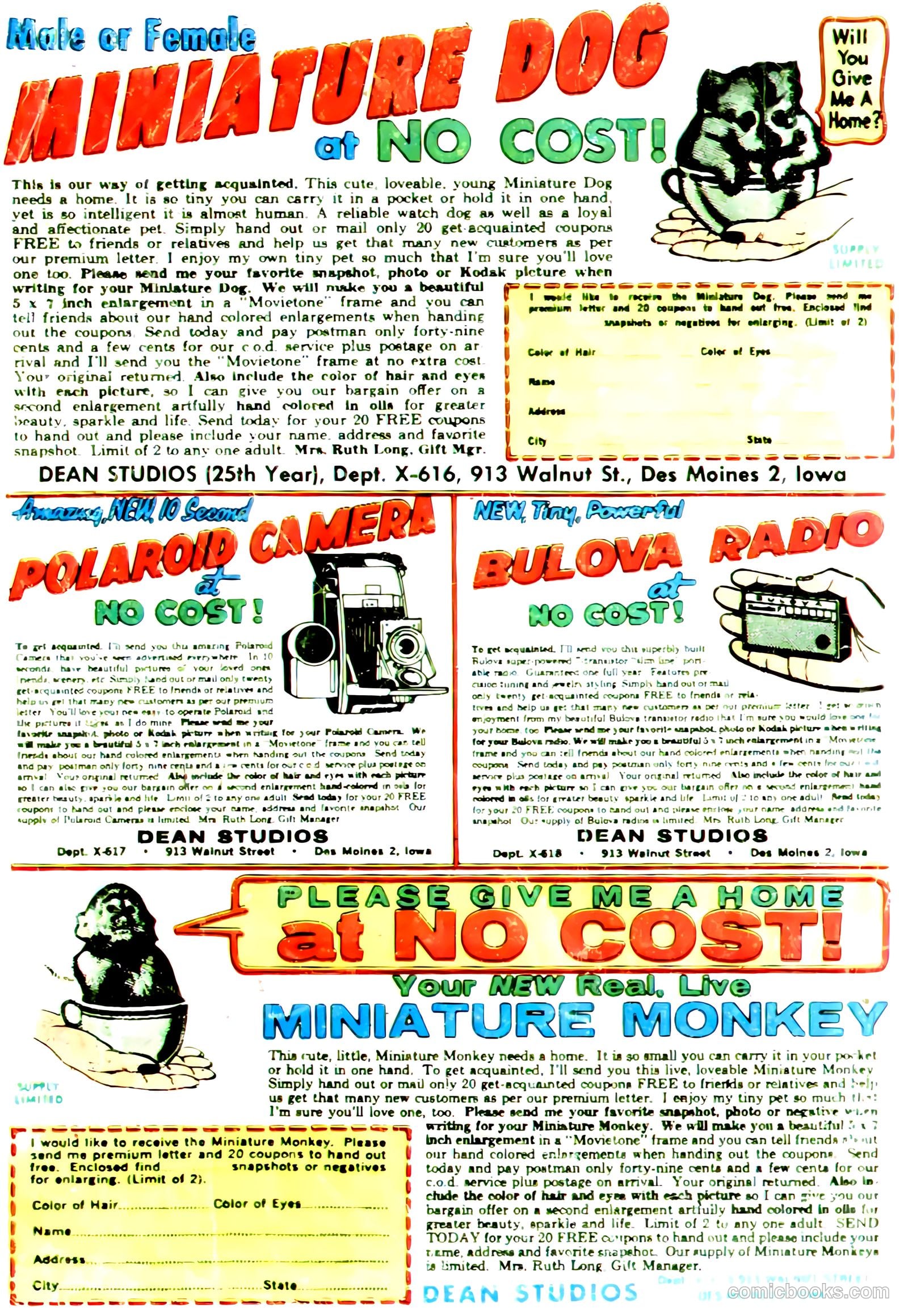 Konga #13 — page 36 of 36