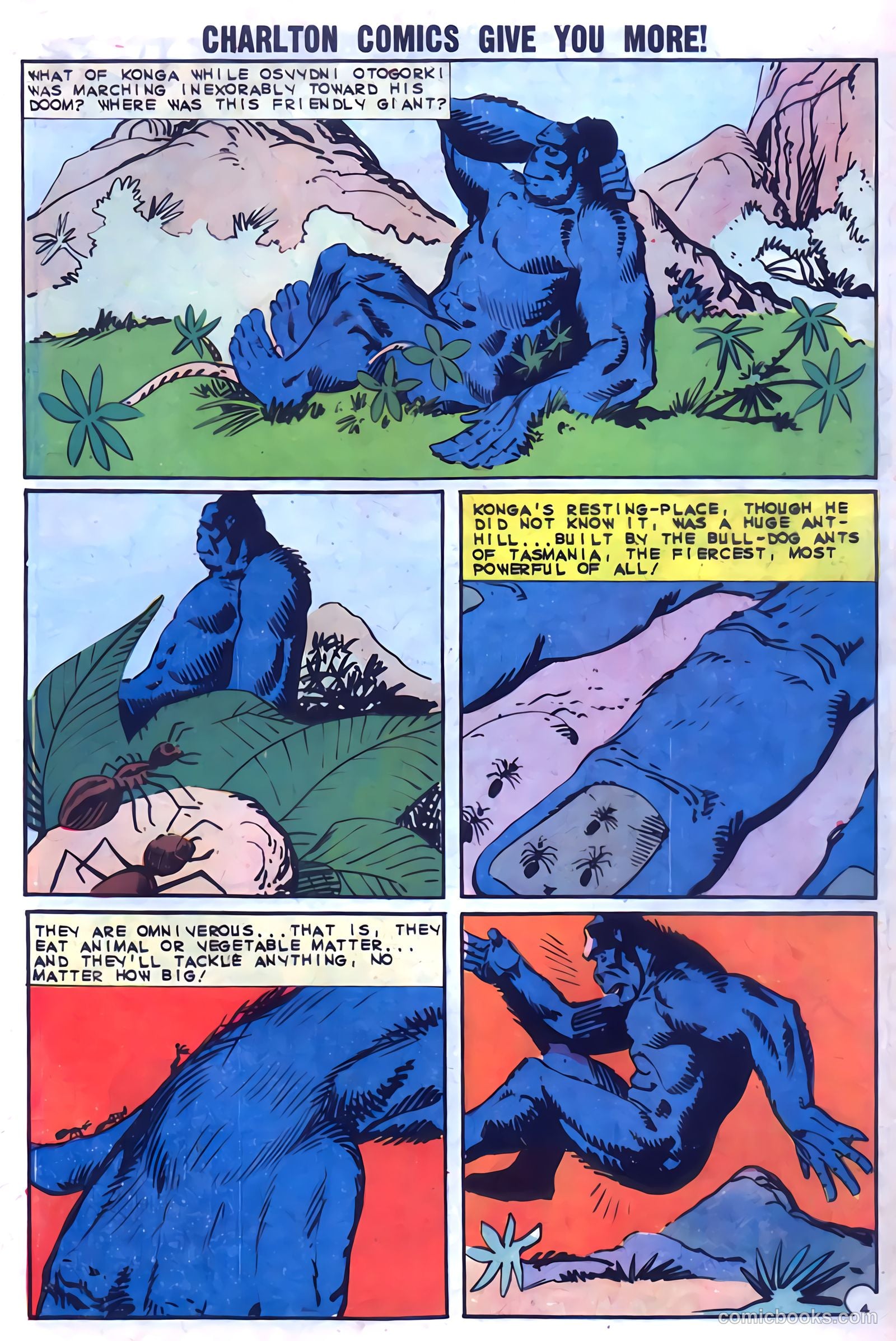 Konga #15 — page 7 of 36