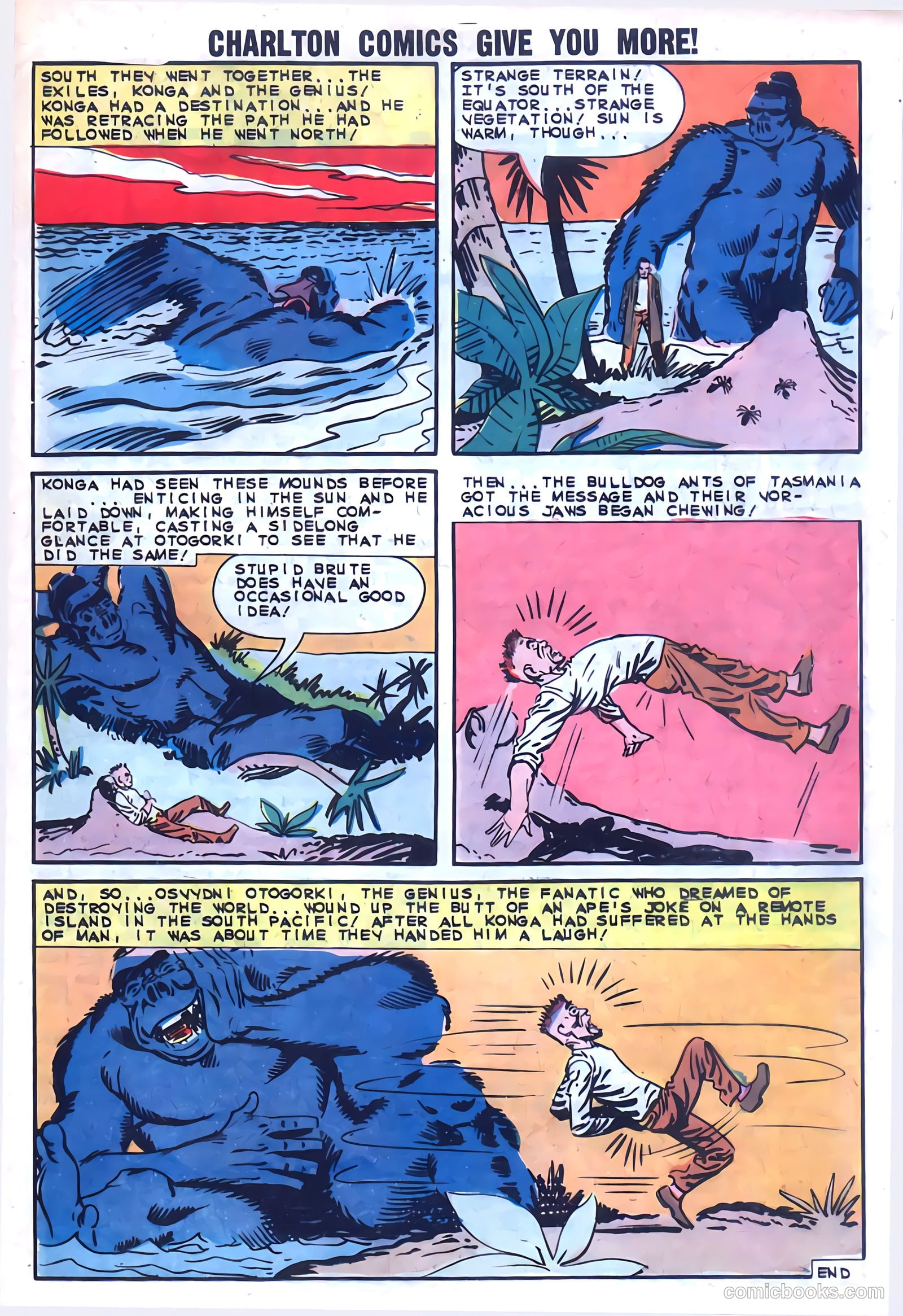 Konga #15 — page 25 of 36