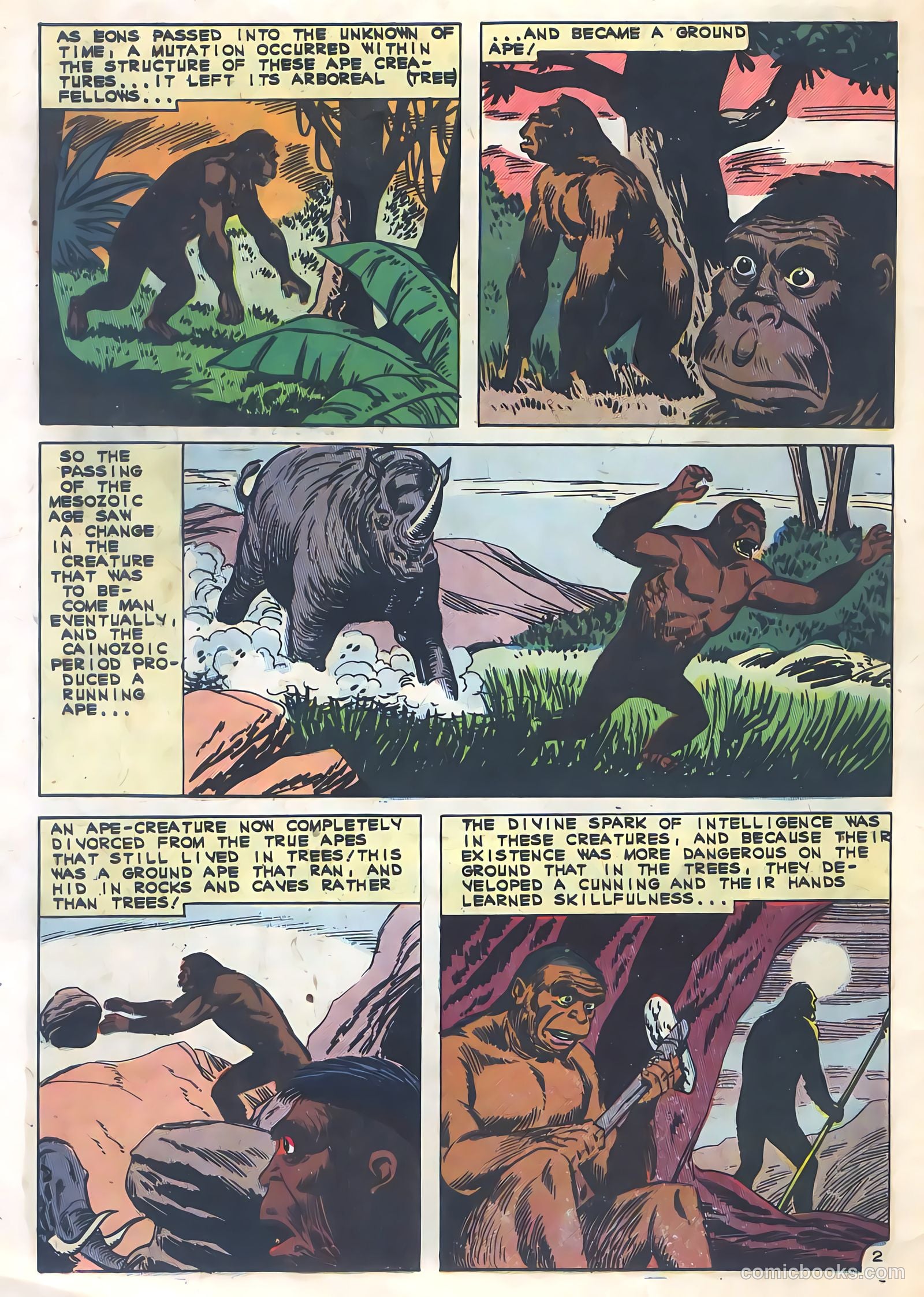 Konga #2 — page 32 of 36