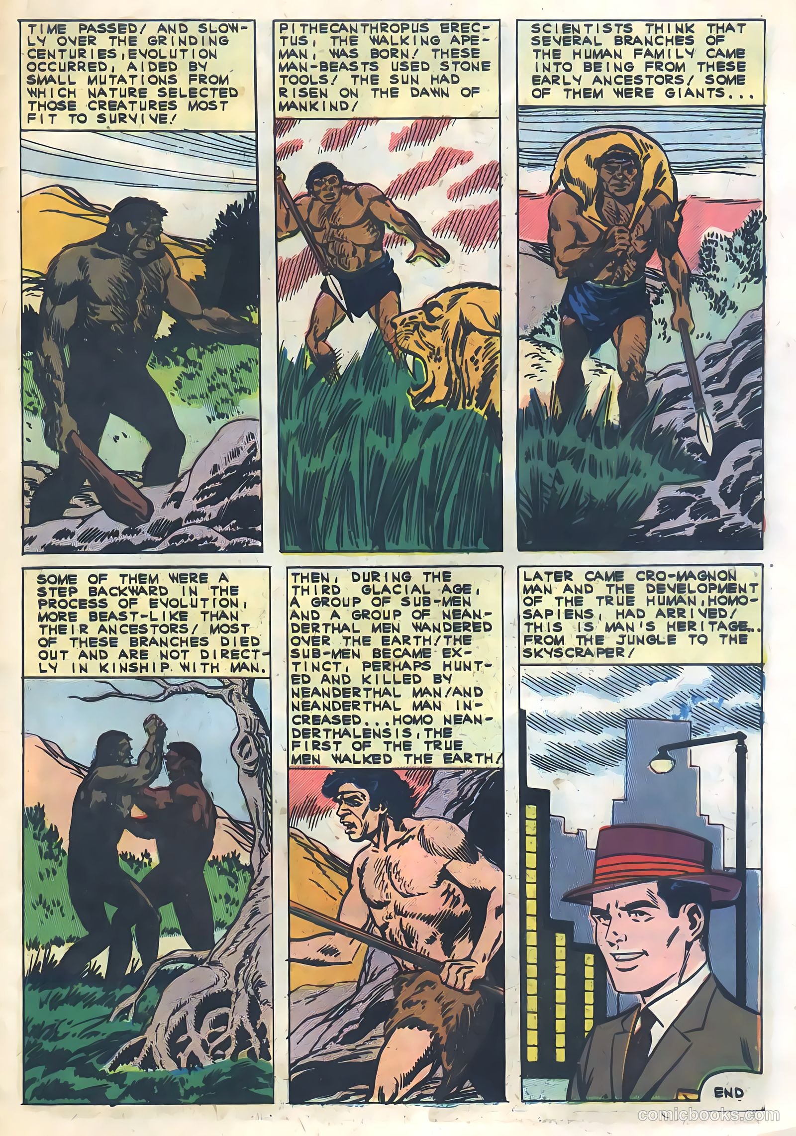 Konga #2 — page 33 of 36