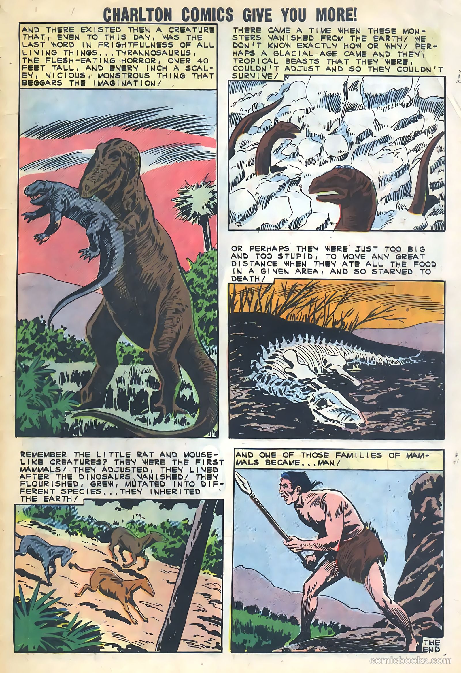 Konga #4 — page 33 of 36
