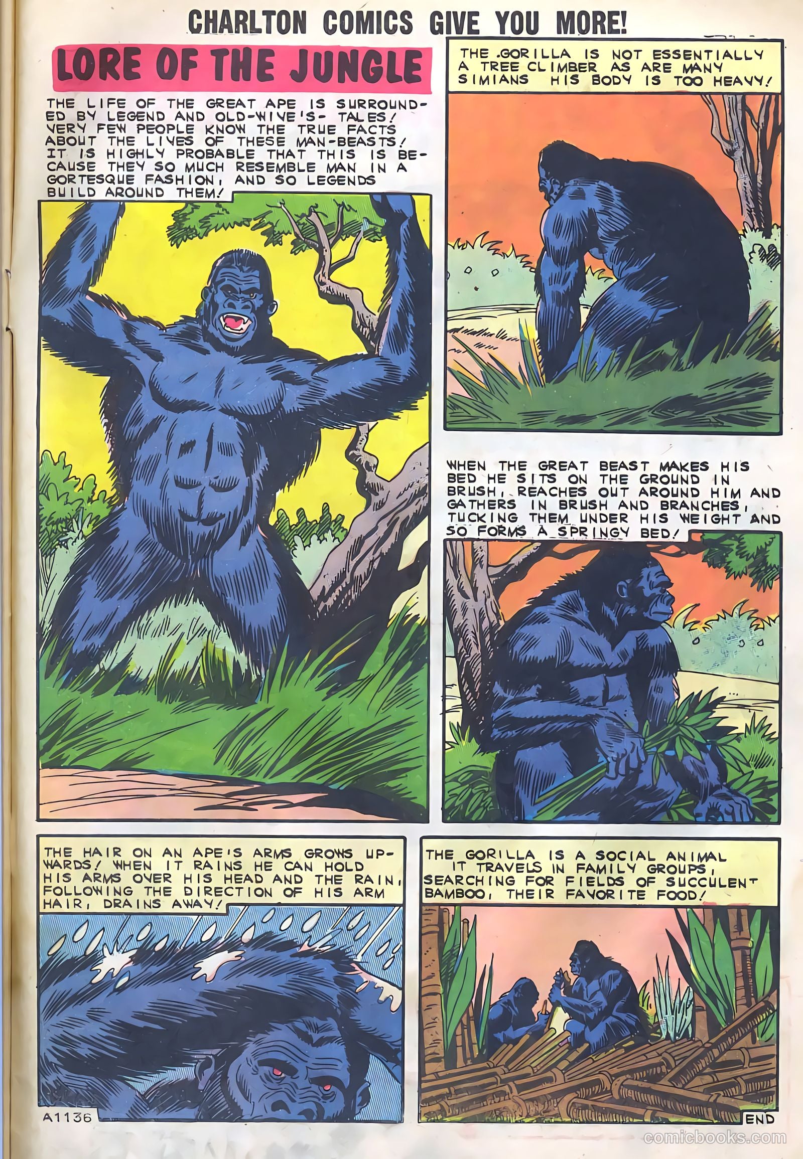 Konga #5 — page 33 of 36