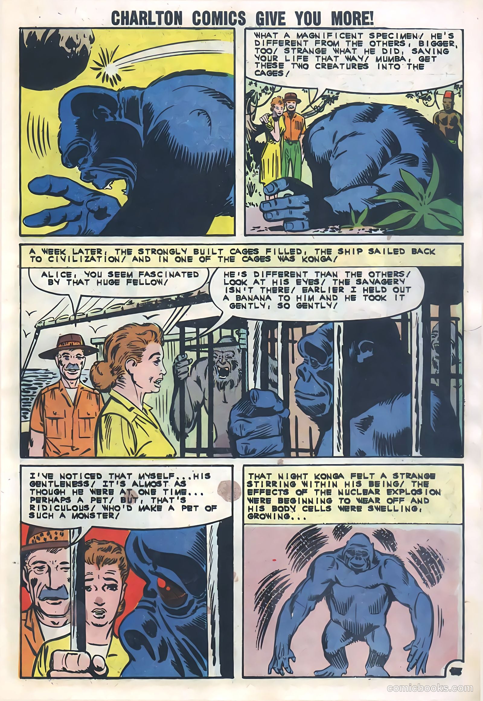 Konga #6 — page 17 of 36