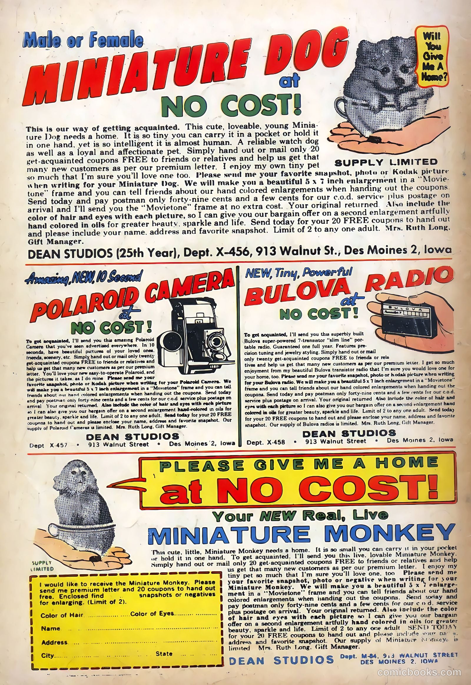 Konga #7 — page 36 of 36