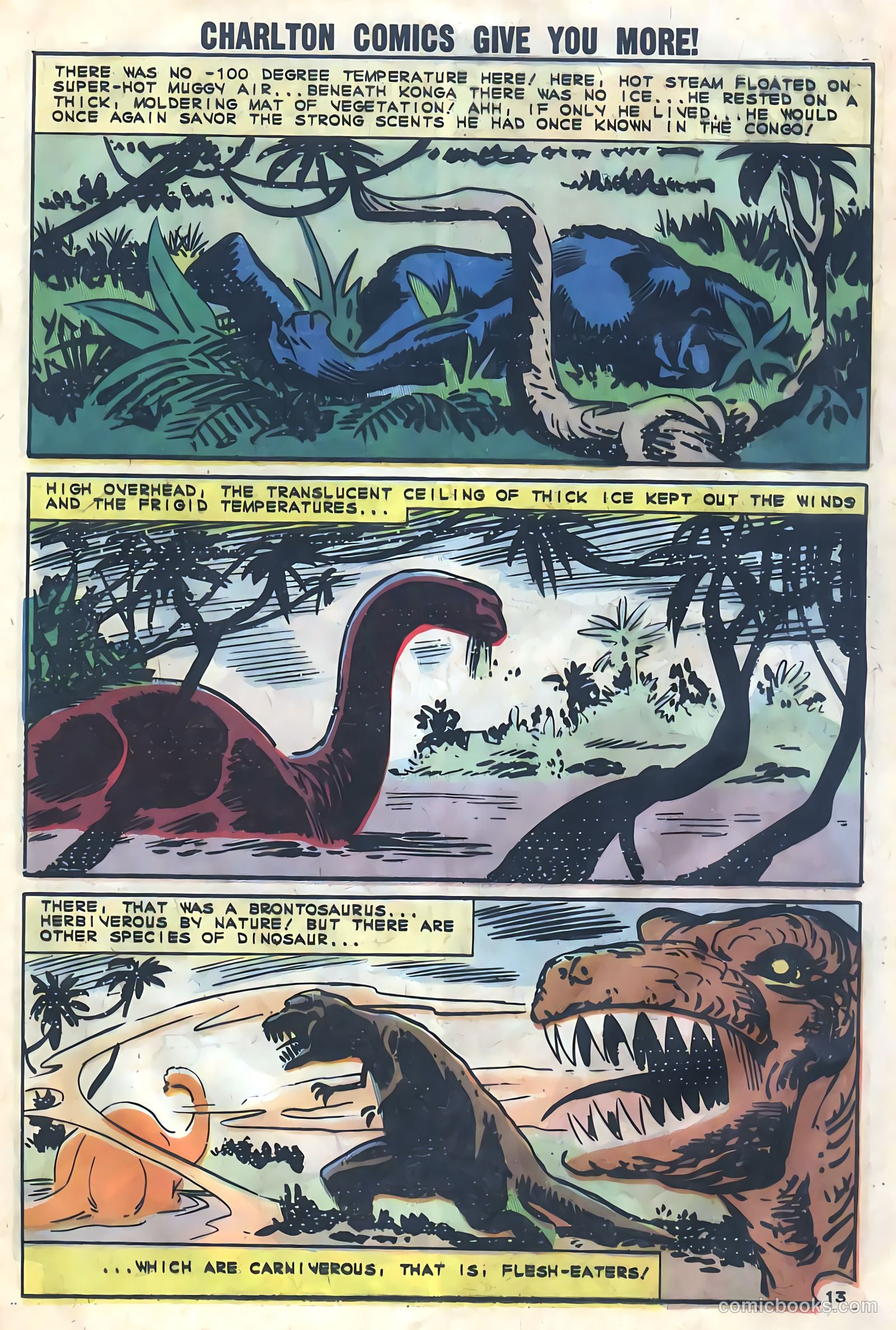 Konga #8 — page 19 of 36