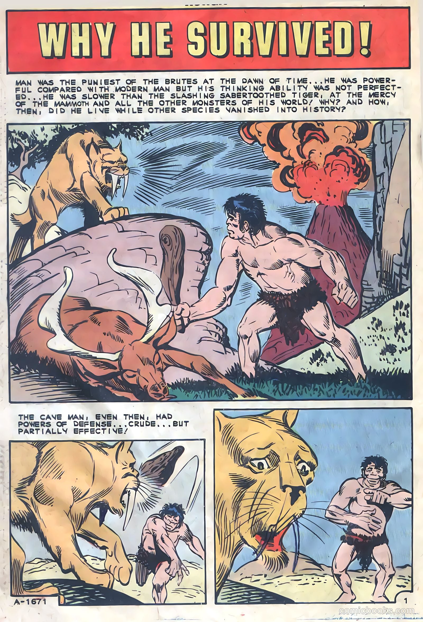 Konga #8 — page 28 of 36