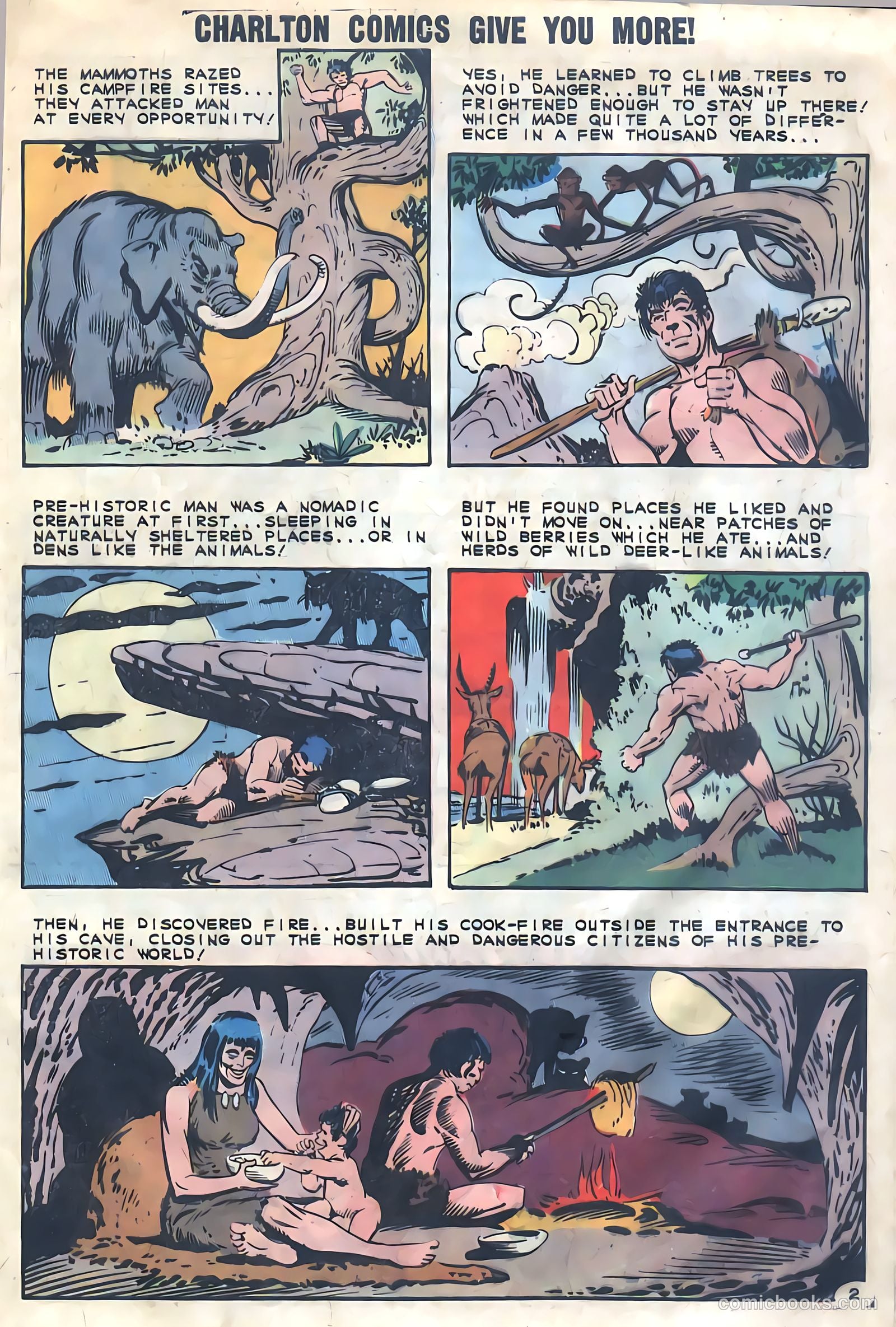 Konga #8 — page 29 of 36
