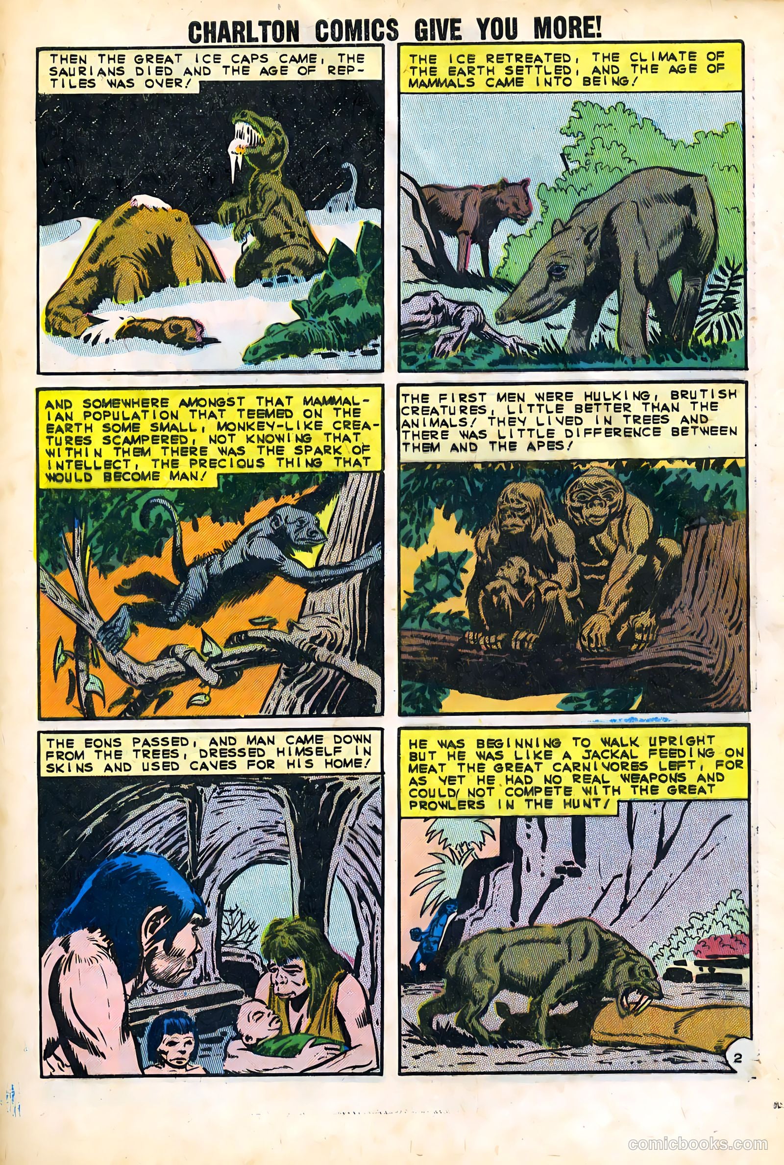 Konga's Revenge #2 — page 29 of 36