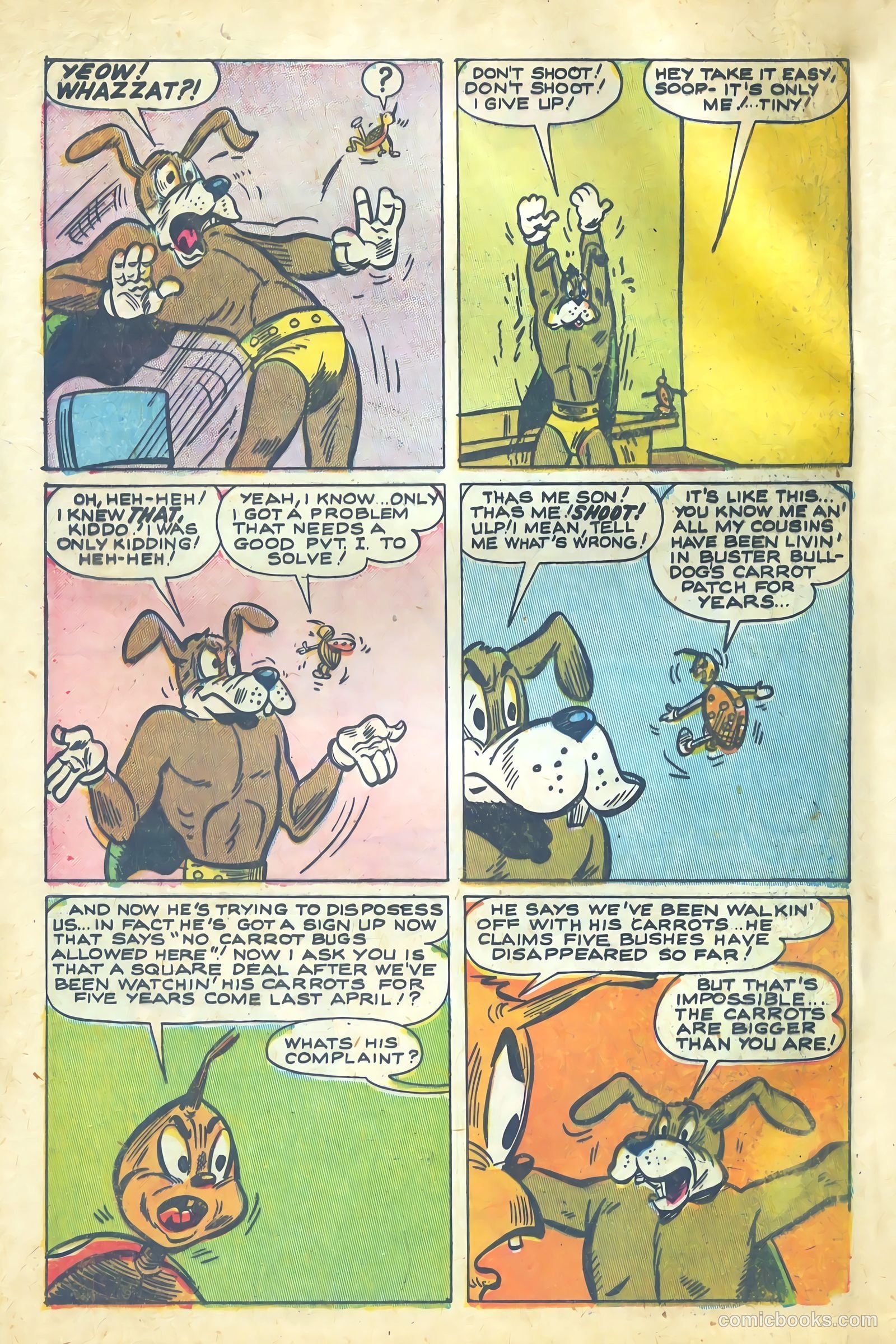 Animal Adventures #2 — page 4 of 36