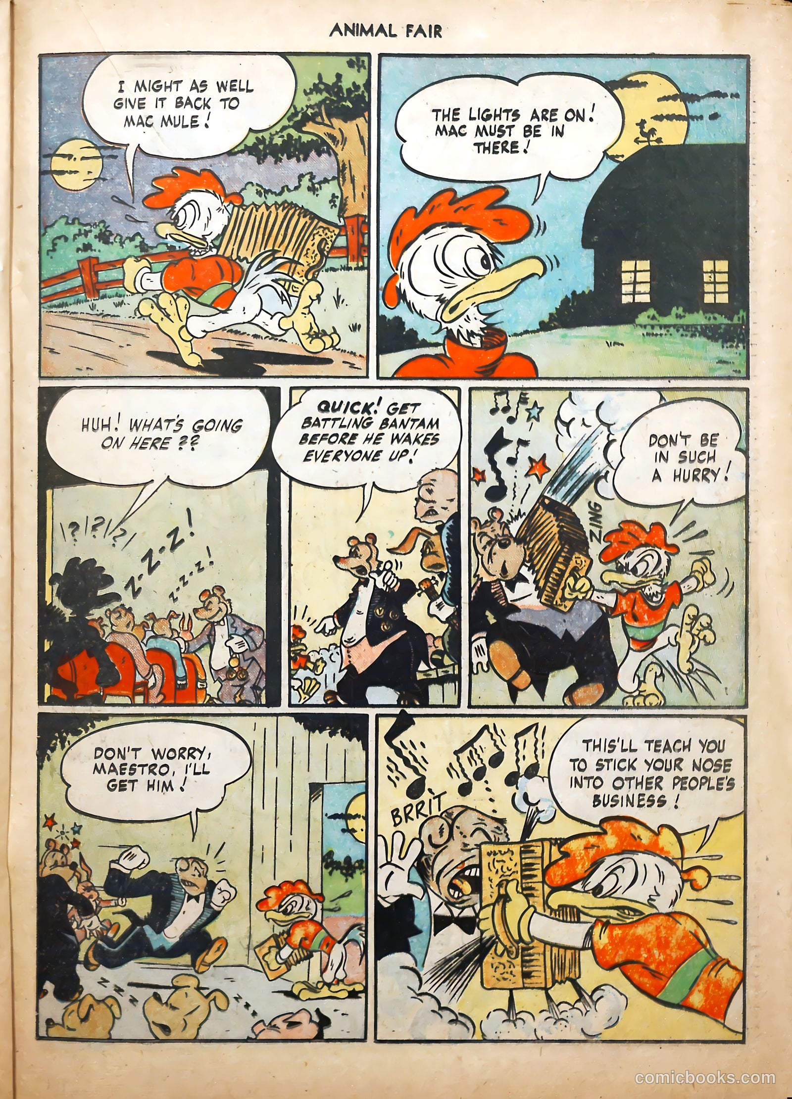 Animal Fair #10 — page 29 of 52